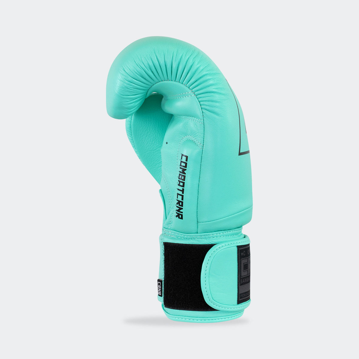 Gants de Boxe HMIT Mint CRNR